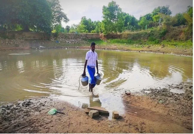 tree water youth service in pudukkottai district 